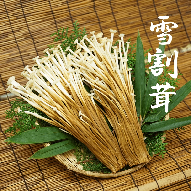 雪割茸【2株】(茸)