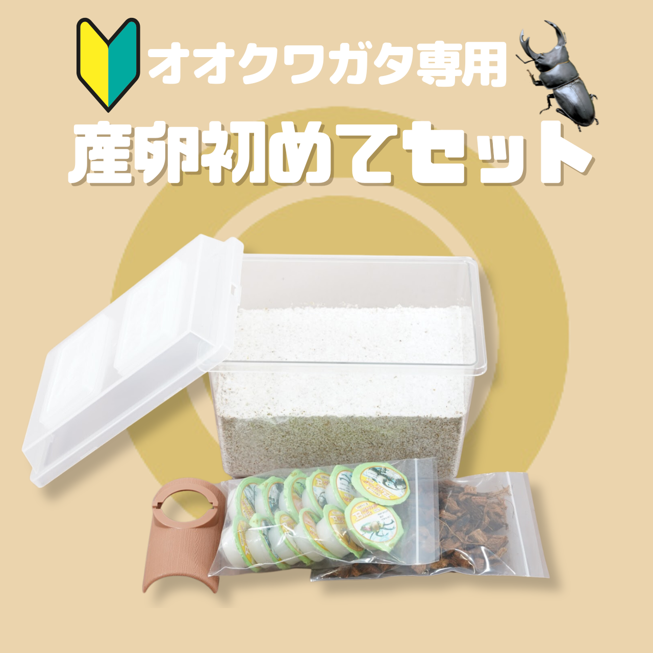 オオクワガタ専用:産卵初めてセット