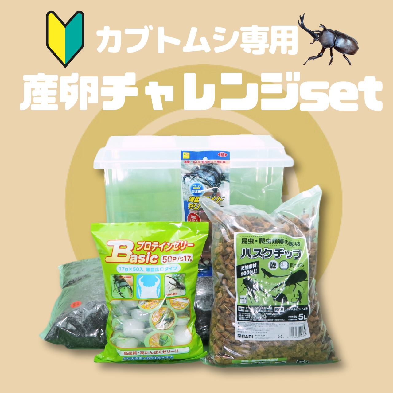 カブトムシ専用:産卵チャレンジset!