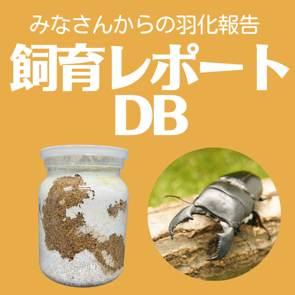 飼育DB