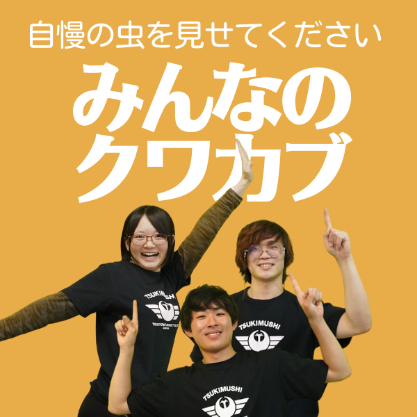 みんなのクワカブ